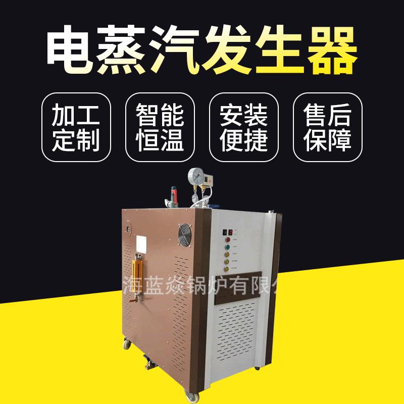 电加热蒸汽发生器LY快装辅助循环锅炉节能电蒸汽发生器现货