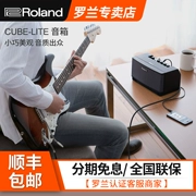 Loa điện Roland Roland Cube-GX / CUBE-LITE-LM - Loa loa