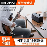 Loa điện Roland Roland Cube-GX / CUBE-LITE-LM - Loa loa loa lg pk3