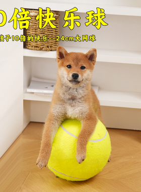 狗狗玩具球十倍快乐球超大网球24cm逗狗解闷柴犬柯基法斗宠物用品