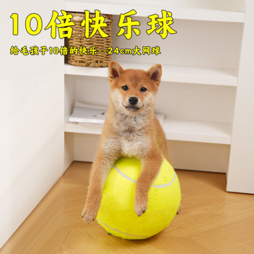狗狗玩具网球24cm十倍快乐球