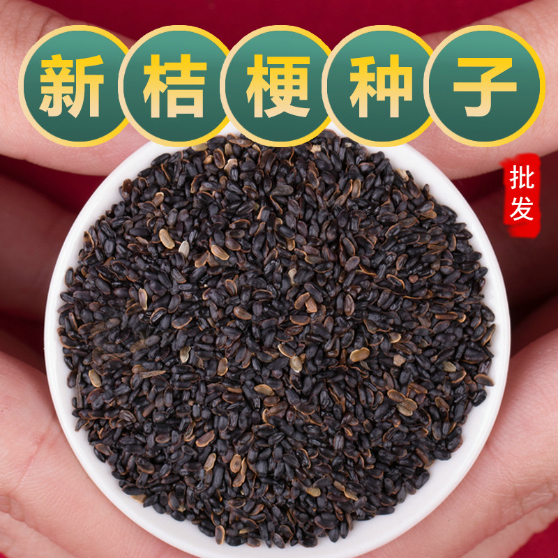 中药材桔梗种子桔梗籽四季种植桔梗苗狗宝咸菜泡菜盆栽可药用食用