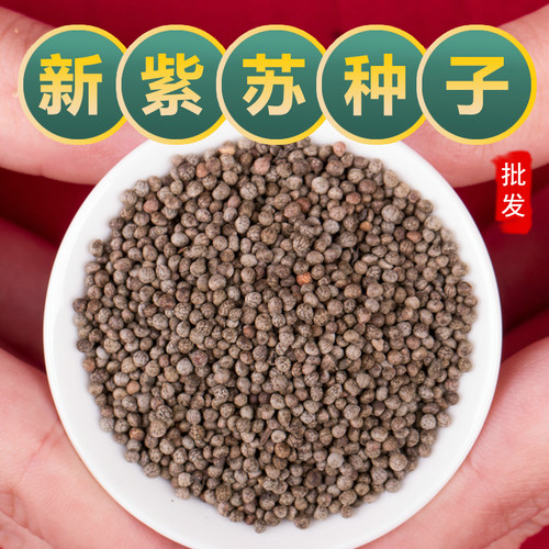 紫苏子种籽种植苗紫苏叶中药材紫苏种子盆栽榨油料烧烤料月饼馅料