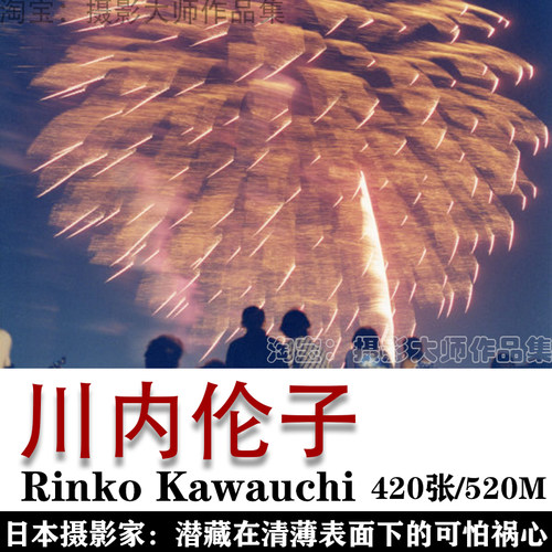 日本摄影师 川内伦子 Rinko Kawauchi 摄影集 摄影作品素材