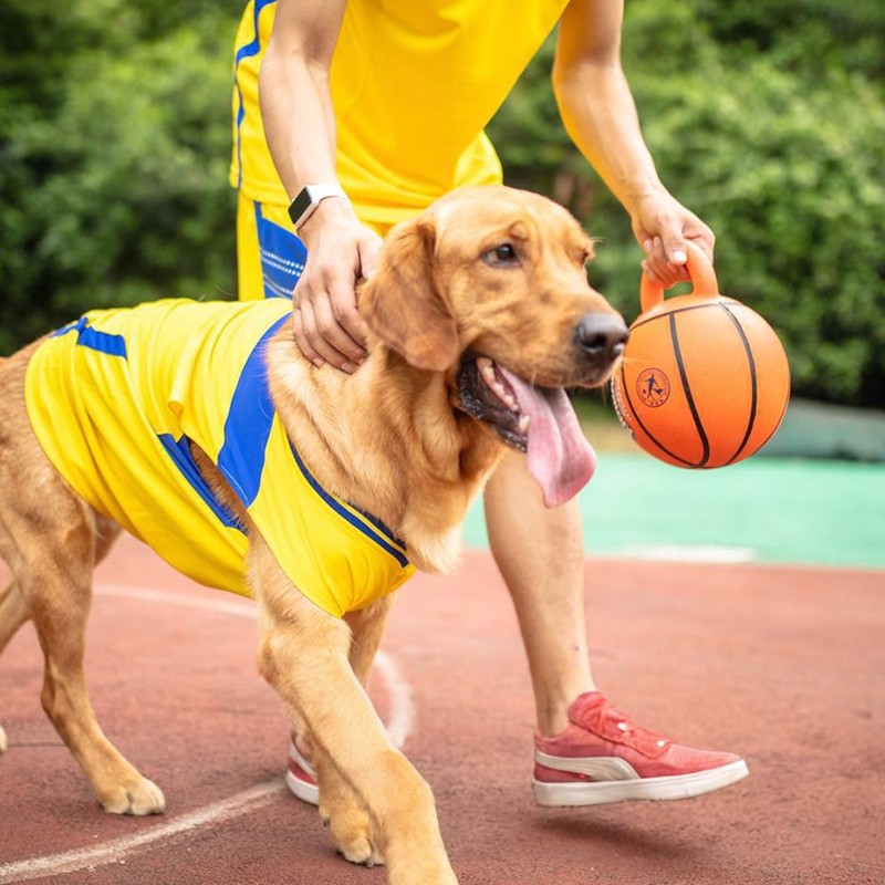 贵为巡回健宝球大型犬宠物玩具球