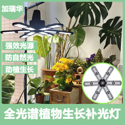 植物补光家用室内开花可折叠热植全光谱LED植物生长灯仿太阳光