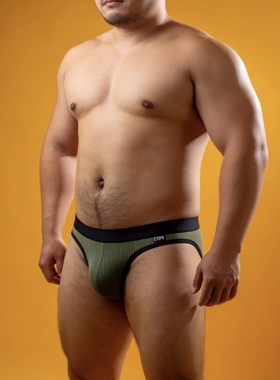 GTOPX 单层薄款低腰内裤壮熊男士三角裤欧美大叔成熟简约螺纹内裤