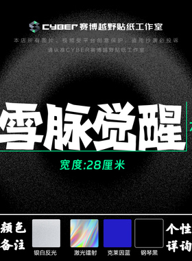 血脉觉醒滑雪贴纸Bruton雪脉雪板贴纸单板贴画贴创意文字耐低温