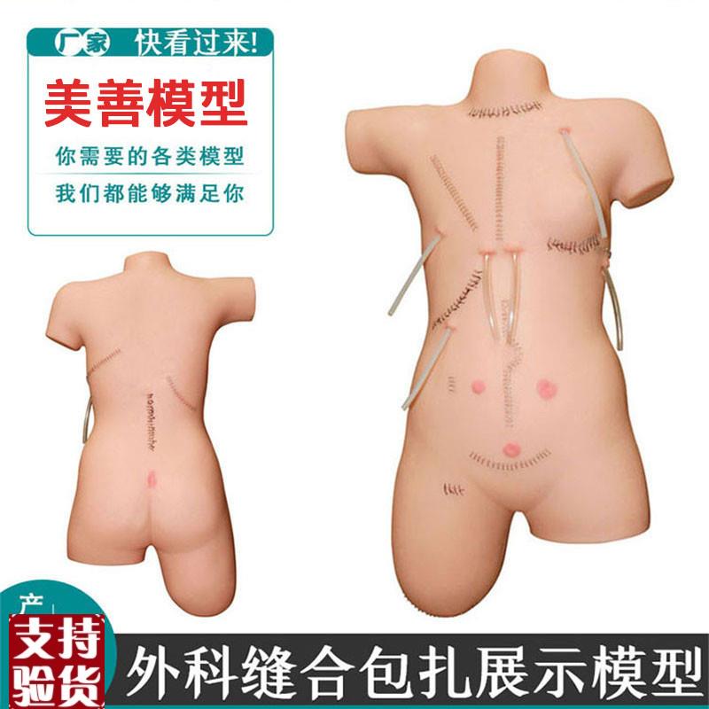 外科缝合包扎展示模型全身切开缝合I训练模型护士培训专用外科