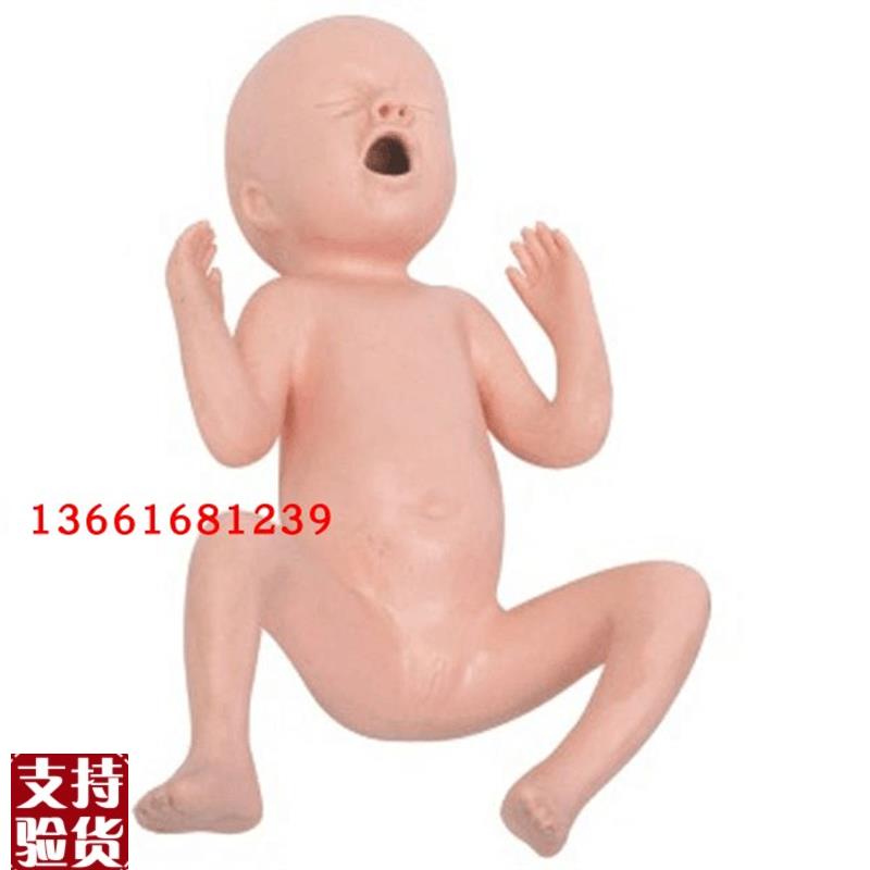 高级24周与30周早产儿模型婴儿早H产示教模型新生儿示教模型