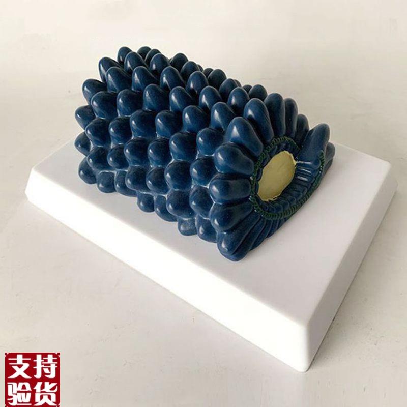 杆状病毒模型腺病毒冠状病毒噬菌体中学O生物课教具医用展示