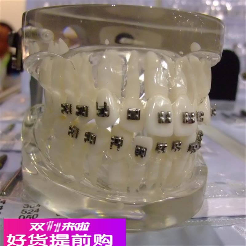 ENOVO颐诺口腔正畸弓丝实训模型正畸训练口腔正畸弓丝弯制 正畸教