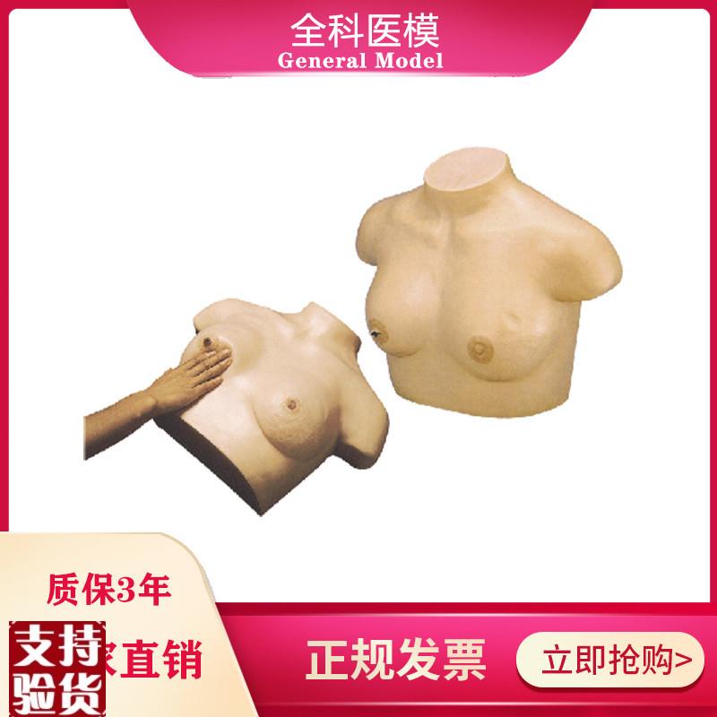 乳腺视诊与触诊模型乳房检查临床教学女性催乳W训练诊断模型