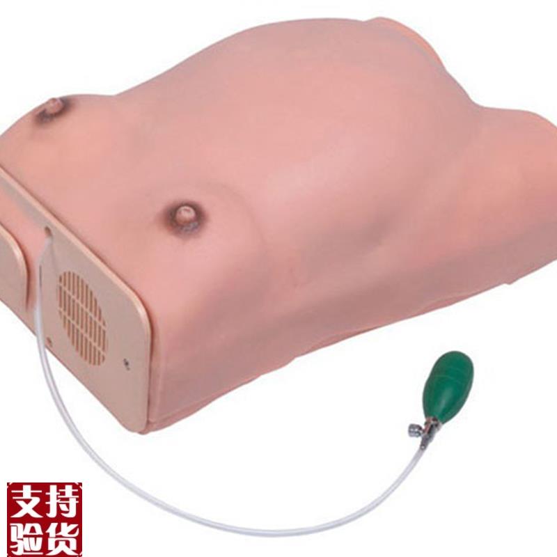 高级电脑孕妇i检查模型孕妇模型妇科检查模型孕妇教学模型