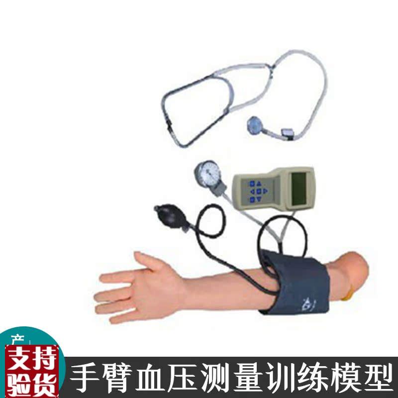 手臂血压测d量训练模型控制器带声音动态显示成人仿真手臂