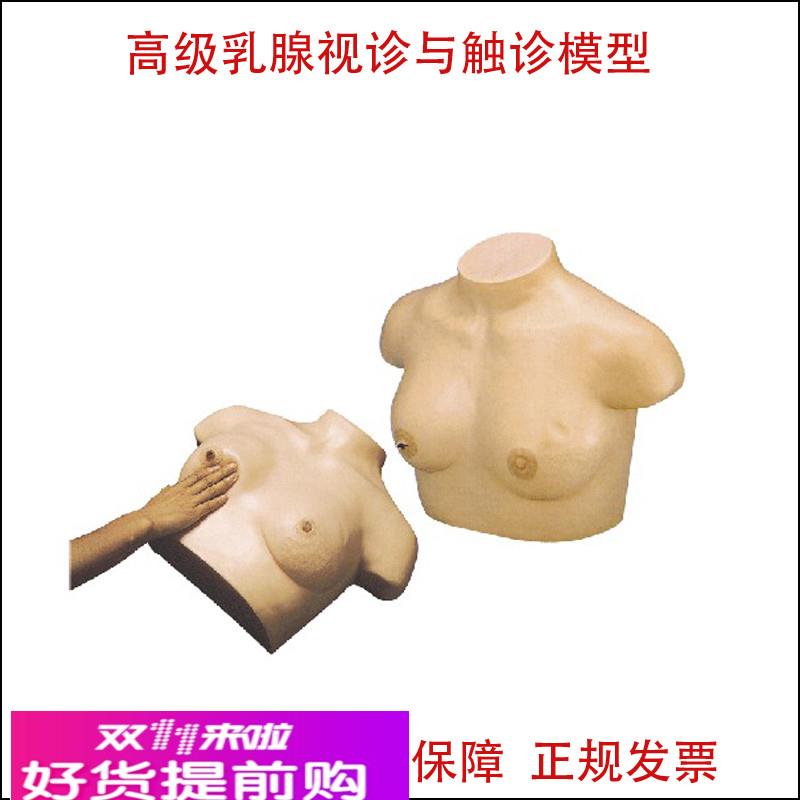 高级乳腺视诊与触诊模型 妇科模型 乳腺检查催乳训练乳房检查教具