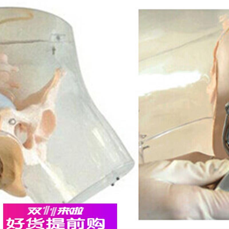 高级透明刮宫模型 透明刮宫教学模型 女性计划生育模型