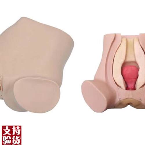 诊断性刮c宫监测考核指导模型诊断性刮宫妇科检查仿真模型