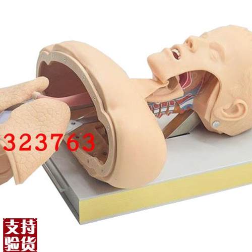 高级气管插管g训练模型(带报警)J50成人气管插管示教模型