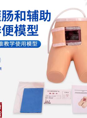 高级灌肠辅助排便训练模型灌肠练习模具老年排便病人MZS/H35