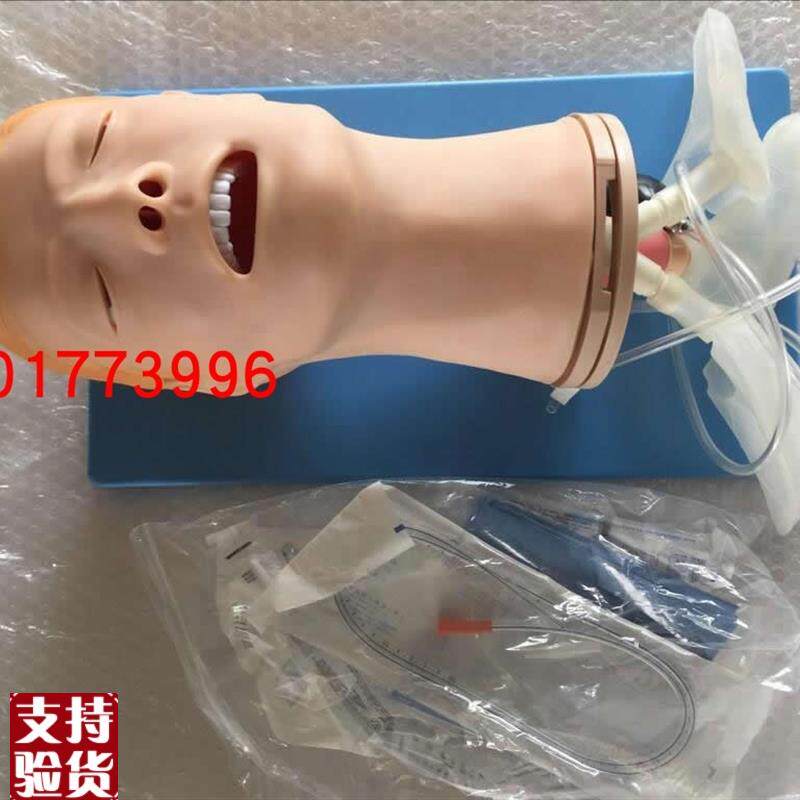 多功能气道管理模型气管插管训练模型颈动脉搏动成人X气道插管模
