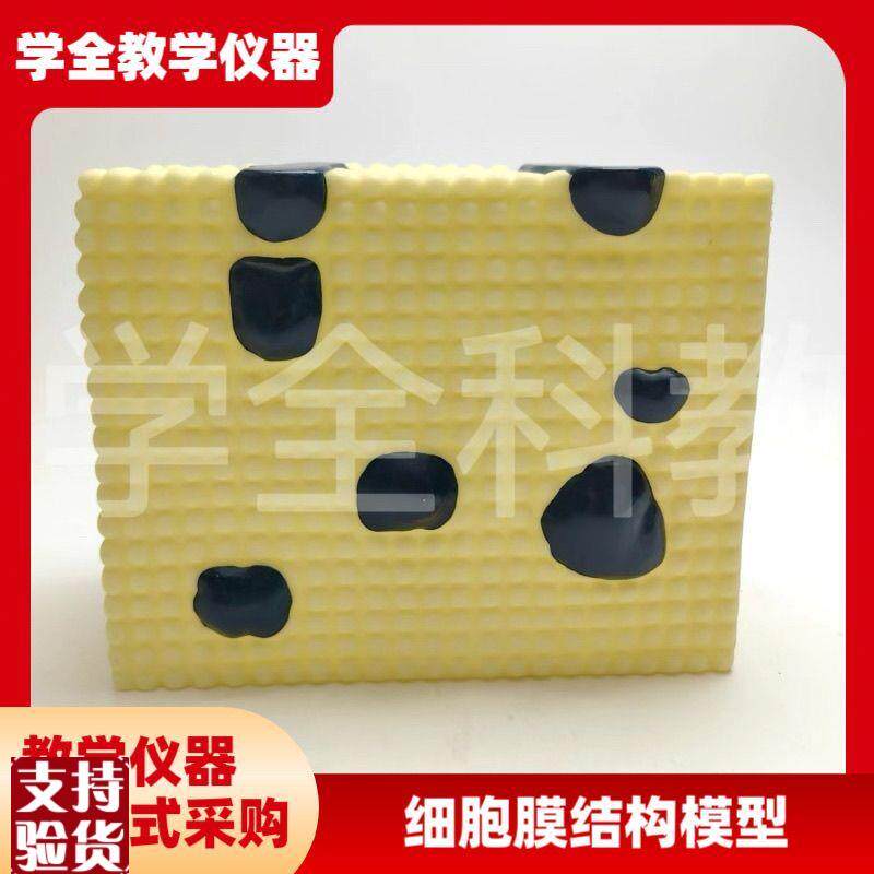 细胞膜结构模型细胞器亚显u膜流动镶嵌蛋白质脂质分子和的排列方