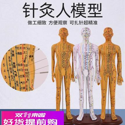 穴位模型人针灸穴位人体模型可扎针全身中医人模经络医学教学模型