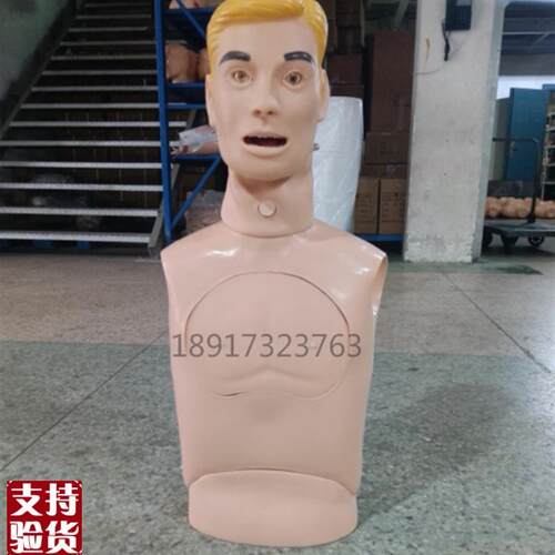 高级鼻胃管与气管护理模型插管训练模型胃管插管模型护Z理教学模