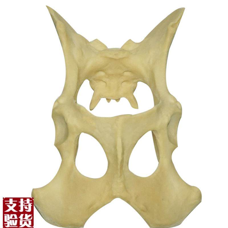 狗骨盆动a物骨科手术演示练习仿真骨练习用骨宠物兽医PU发泡骨直,文具电教/文化用品/商务用品,教学仪器/实验器材,淘宝优惠券,粉丝福利购,淘宝优惠卷