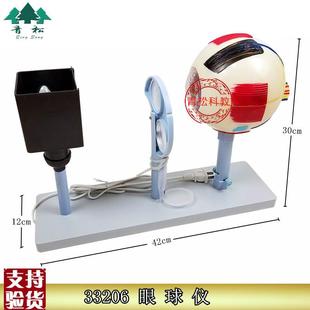眼球仪眼解刨模型眼n球成像仪晶状体曲率可变中学生物实验器材