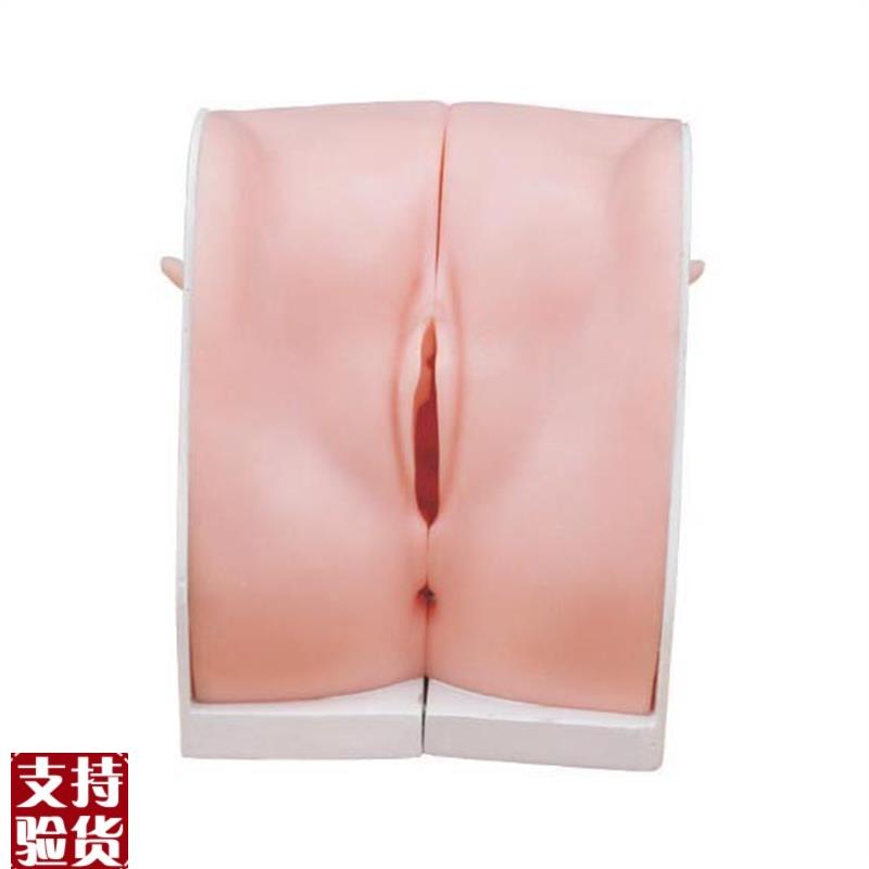 妇科避孕c指导模型上环练习模具