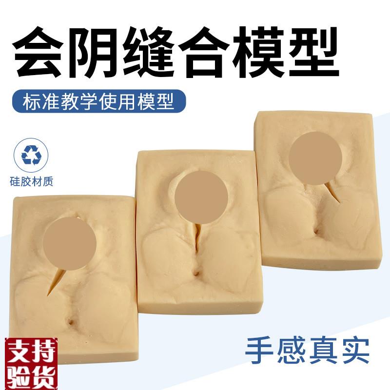 女性生殖计生会阴模型外阴侧切缝合手术模型会阴切.开缝合练习