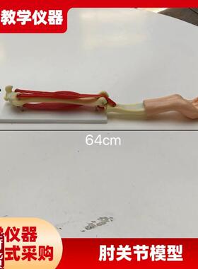 供应SM-SB2-S-300手臂活动模型组装材料小型R手臂肌肉运动系统模