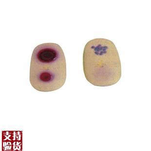 天花病变模块护理模型天花病毒检查G模型医学教学模型护士实习用