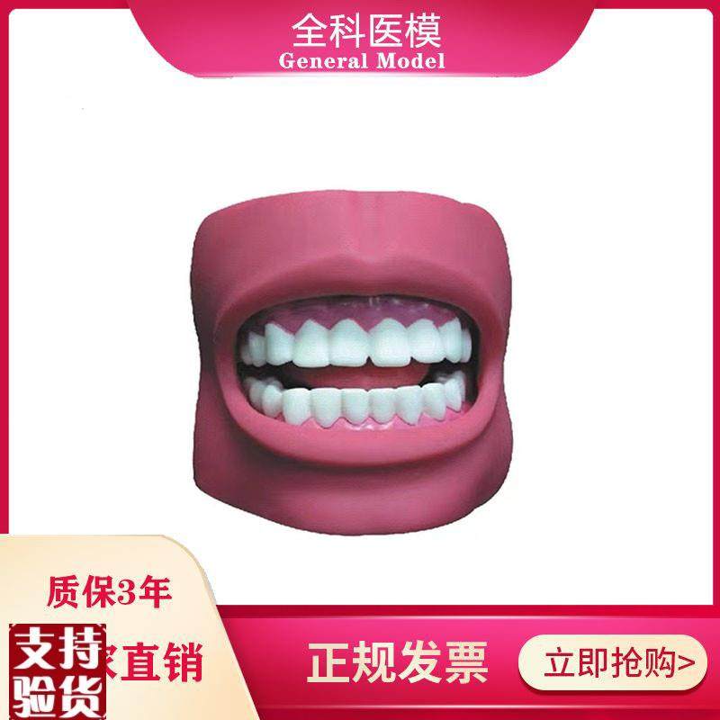 牙护理保健模型(带脸颊自B然大)口腔清洁教学练习模具,文具电教/文化用品/商务用品,模拟人,淘宝优惠券,粉丝福利购,淘宝优惠卷