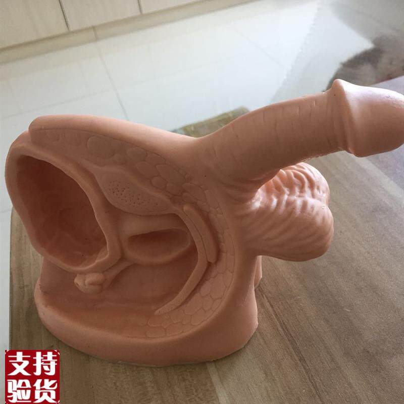 男性内外a生殖器及导尿模块/人体模型/男性导尿模型/阳具模型