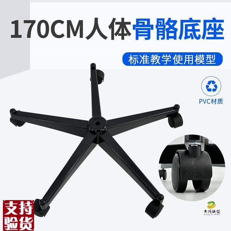 170cm人体大骨骼模型配套的A塑料底座黑色塑料底座及支架铁棍