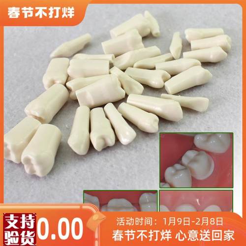 ENOVO颐诺口腔齿科s牙医备牙仿真牙齿牙体制备窝洞备牙粒离体牙