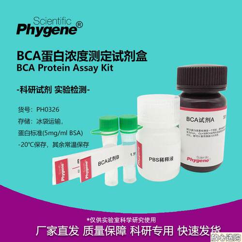 BCA蛋白浓度A测定试剂盒500TBCA蛋白定量试剂盒PH0326PHYGENE