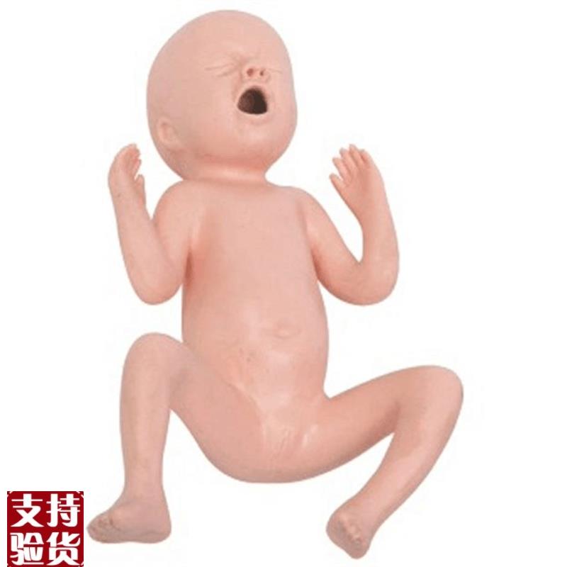 高级24周d早产儿模型高级30周早产儿模型早产儿护理模型