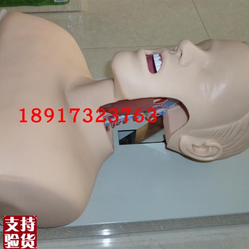 人体气管插管训练模型成I人气管插管训练模型