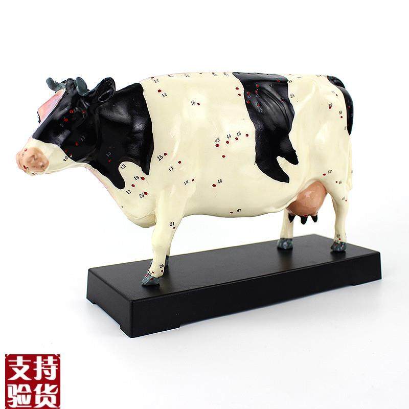 ENOVO颐诺牛针灸穴位模型物解剖模型宠物模型生U物畜牧教学针灸,文具电教/文化用品/商务用品,教学标本/模型,淘宝优惠券,粉丝福利购,淘宝优惠卷