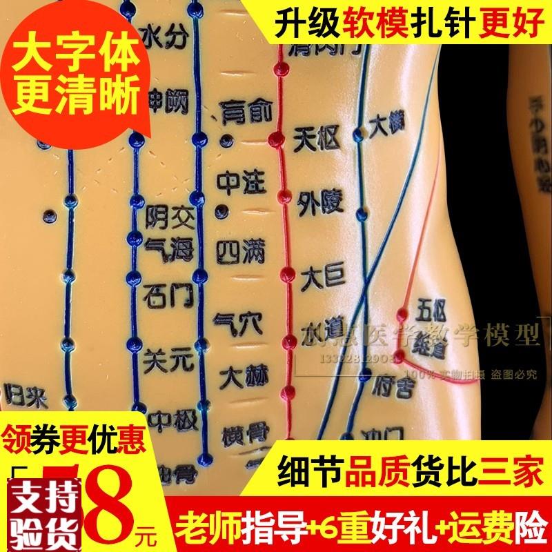 针灸穴位人体模型经络教学模型中医超清小铜N人推拿按摩练习硅胶