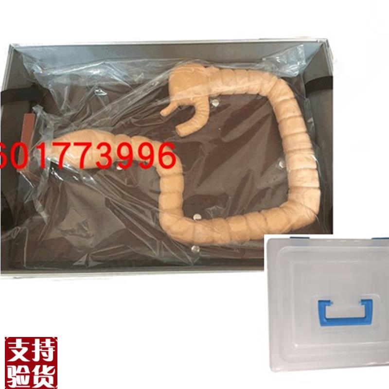 乙状结肠镜检查模型教x学练习肠道自然大肠镜模型