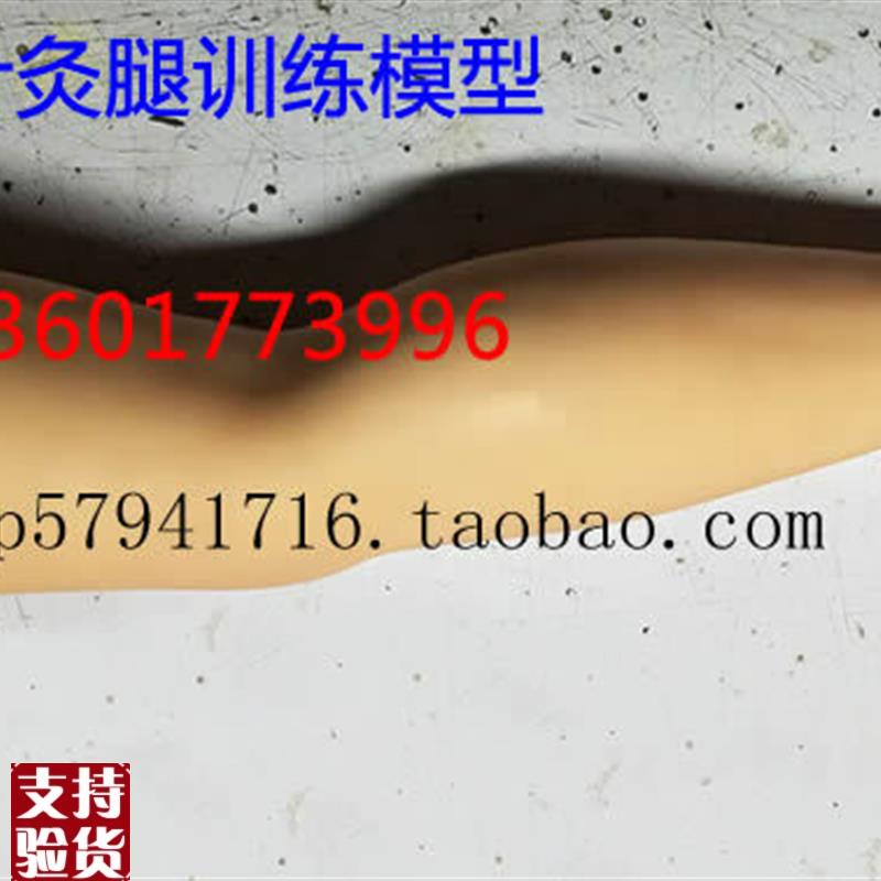针灸腿训练模型针刺大腿训练z模型成人下肢中医针灸练习模型