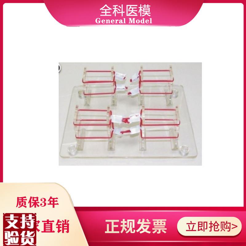 浅表打结技能训l练模型外科打结练习模具GM/LV8-2