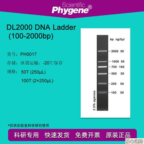 PH0017DL2000DNALadder(100-2000bp)100TDNAnMarker