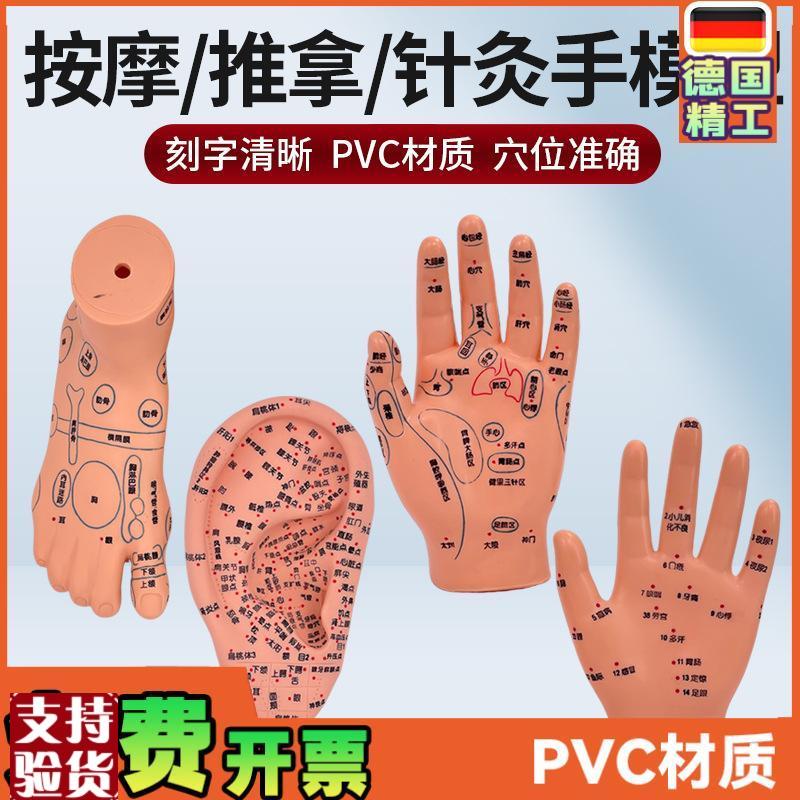 脚穴位模型足部底耳模耳朵手经络手部推拿针灸足底脚模Z反射眼睛