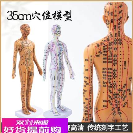 35cm中医人体针灸模型经络穴位中医全身十二铜人模特图练习小皮人