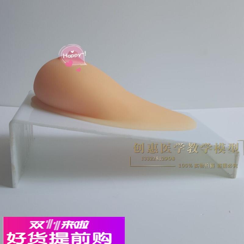 女性乳房 纯硅胶乳房模型 单个乳房哺乳模型催乳培训模型催乳模型